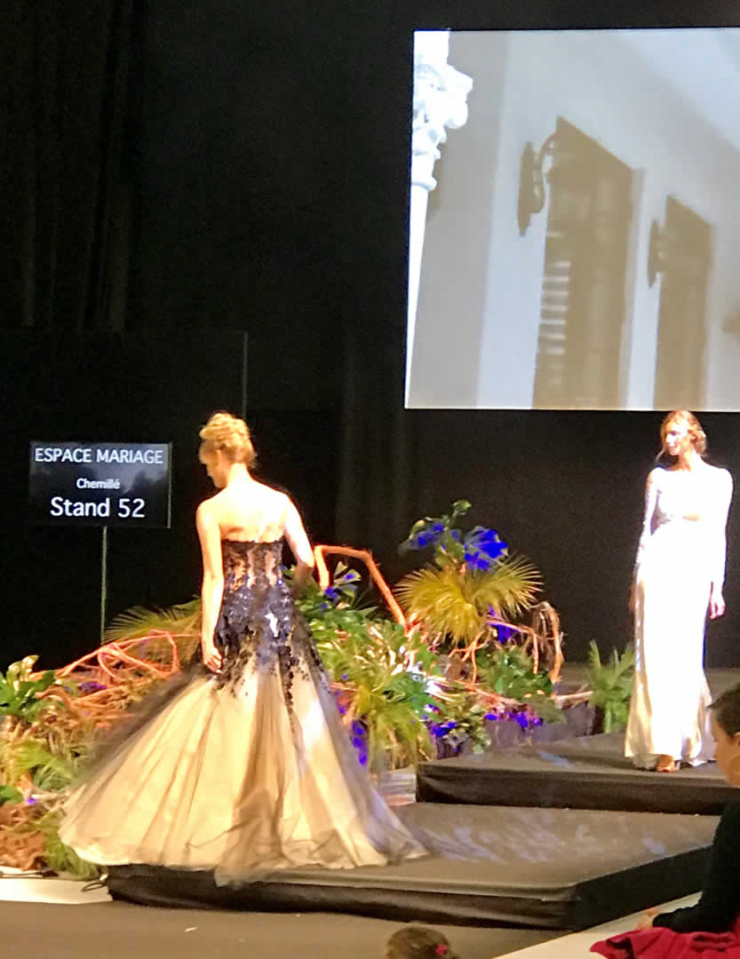 Alternative text - Les équipes Novelty Grand Ouest en force au Parc des Expositions de Nant