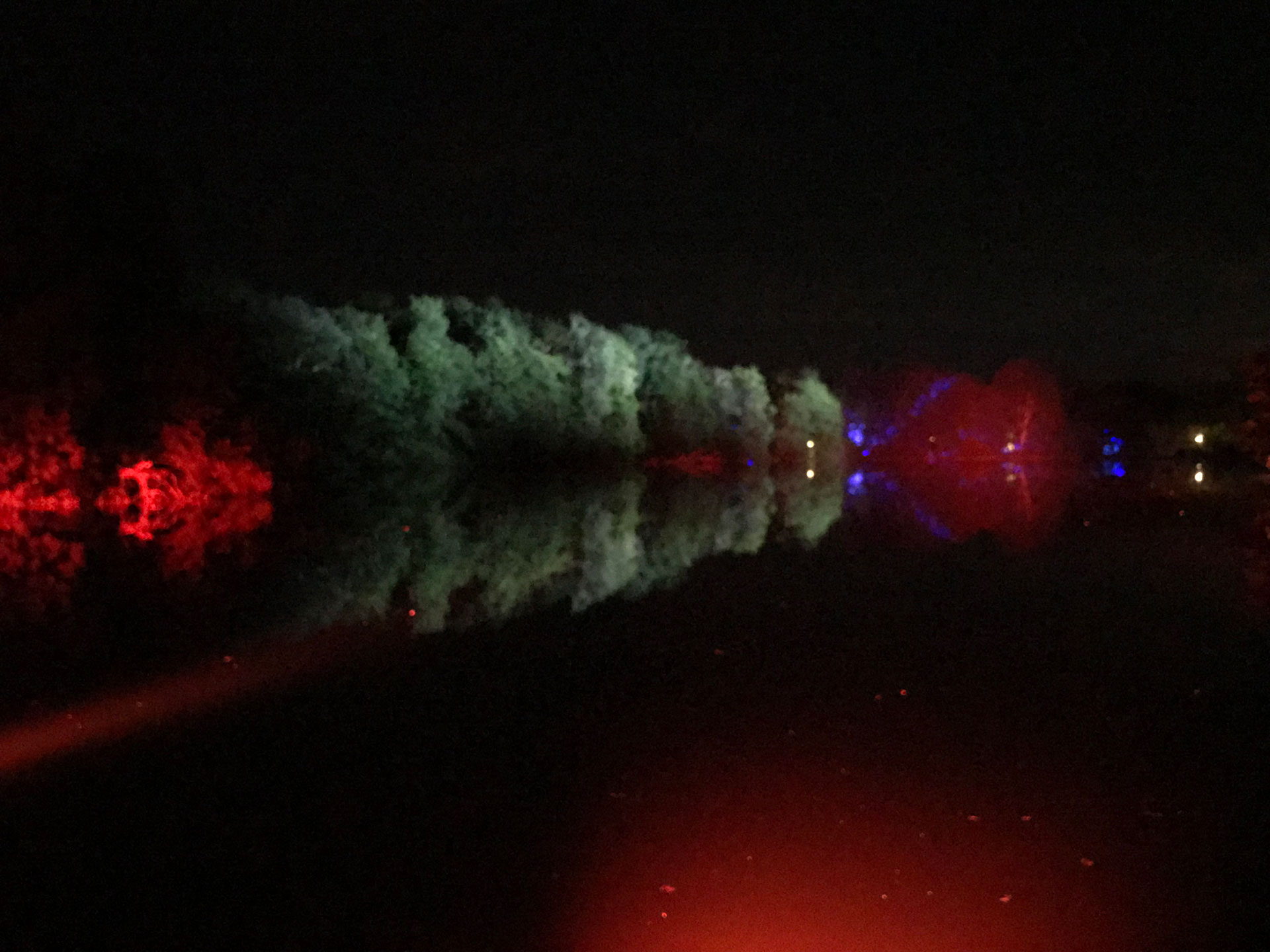 Alternative text - Nocturnes du parc des oiseaux avec Novelty Toulouse